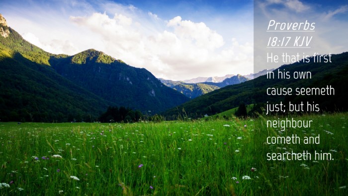 Picture 04 - Proverbs 18:17 KJV Desktop Wallpaper - He that is first in his own cause seemeth just; - Desktop Bible Verse Wallpaper