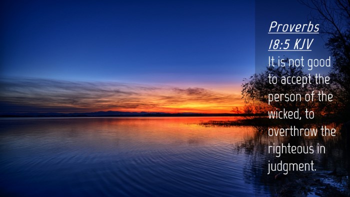 Picture 04 - Proverbs 18:5 KJV Desktop Wallpaper - It is not good to accept the person of the - Desktop Bible Verse Wallpaper