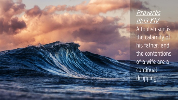 Picture 04 - Proverbs 19:13 KJV Desktop Wallpaper - A foolish son is the calamity of his father: and - Desktop Bible Verse Wallpaper