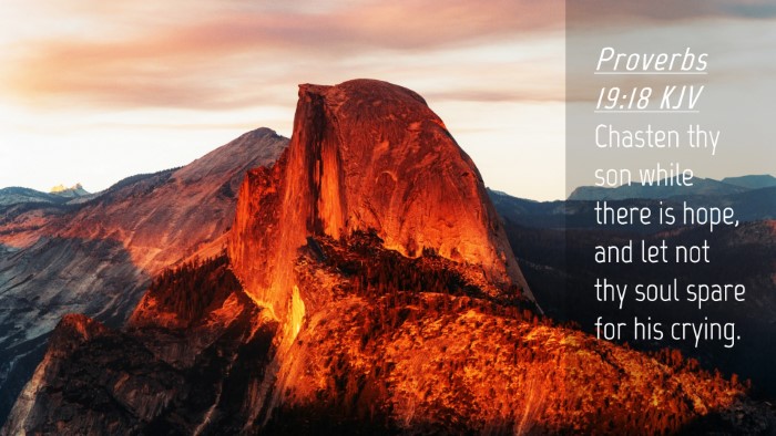 Picture 04 - Proverbs 19:18 KJV Desktop Wallpaper - Chasten thy son while there is hope, and let not - Desktop Bible Verse Wallpaper