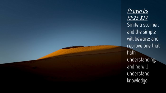 Picture 04 - Proverbs 19:25 KJV Desktop Wallpaper - Smite a scorner, and the simple will beware: and - Desktop Bible Verse Wallpaper
