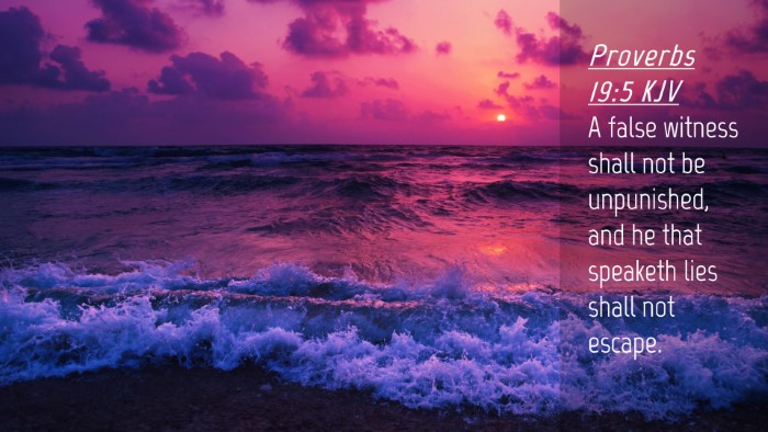 Picture 04 - Proverbs 19:5 KJV Desktop Wallpaper - A false witness shall not be unpunished, and he - Desktop Bible Verse Wallpaper