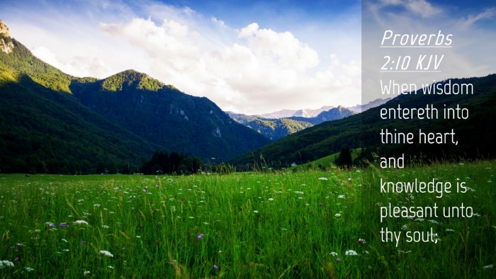 Picture 04 - Proverbs 2:10 KJV Desktop Wallpaper - When wisdom entereth into thine heart, and - Desktop Bible Verse Wallpaper