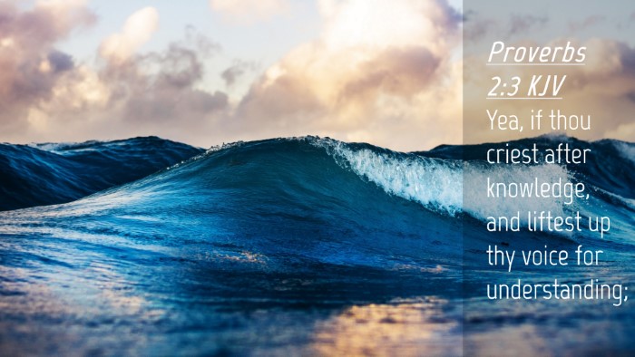 Picture 04 - Proverbs 2:3 KJV Desktop Wallpaper - Yea, if thou criest after knowledge, and liftest - Desktop Bible Verse Wallpaper