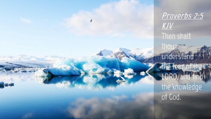 Picture 04 - Proverbs 2:5 KJV Desktop Wallpaper - Then shalt thou understand the fear of the LORD, - Desktop Bible Verse Wallpaper