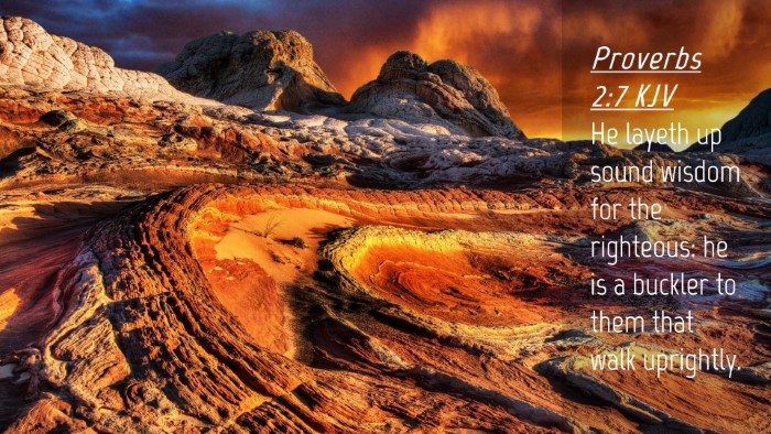 Picture 04 - Proverbs 2:7 KJV Desktop Wallpaper - He layeth up sound wisdom for the righteous: he - Desktop Bible Verse Wallpaper