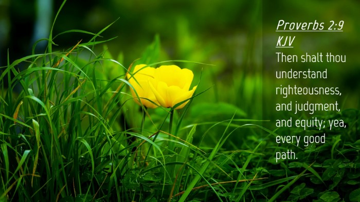 Picture 04 - Proverbs 2:9 KJV Desktop Wallpaper - Then shalt thou understand righteousness, and - Desktop Bible Verse Wallpaper
