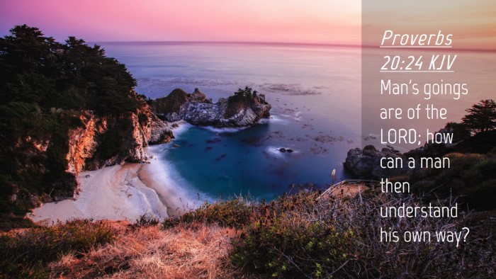 Picture 04 - Proverbs 20:24 KJV Desktop Wallpaper - Man's goings are of the LORD; how can a man then - Desktop Bible Verse Wallpaper