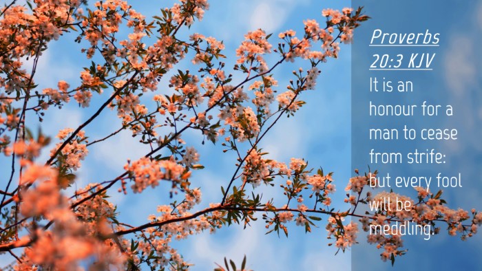 Picture 04 - Proverbs 20:3 KJV Desktop Wallpaper - It is an honour for a man to cease from strife: - Desktop Bible Verse Wallpaper