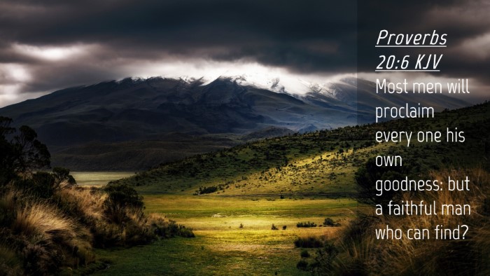 Picture 04 - Proverbs 20:6 KJV Desktop Wallpaper - Most men will proclaim every one his own - Desktop Bible Verse Wallpaper
