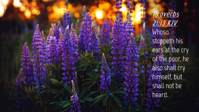 Picture 04 - Proverbs 21:13 KJV Desktop Wallpaper - Whoso stoppeth his ears at the cry of the poor, - Desktop Bible Verse Wallpaper