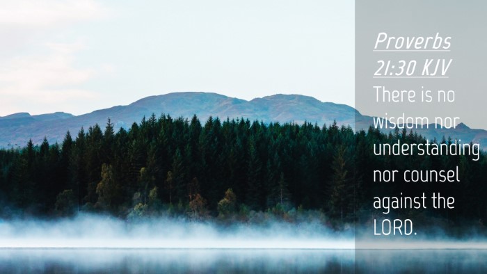 Picture 04 - Proverbs 21:30 KJV Desktop Wallpaper - There is no wisdom nor understanding nor counsel - Desktop Bible Verse Wallpaper