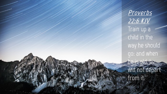 Picture 04 - Proverbs 22:6 KJV Desktop Wallpaper - Train up a child in the way he should go: and - Desktop Bible Verse Wallpaper