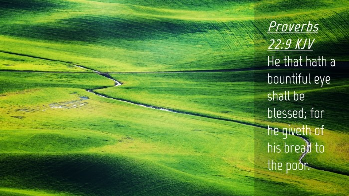 Picture 04 - Proverbs 22:9 KJV Desktop Wallpaper - He that hath a bountiful eye shall be blessed; - Desktop Bible Verse Wallpaper