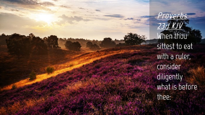 Picture 04 - Proverbs 23:1 KJV Desktop Wallpaper - When thou sittest to eat with a ruler, consider - Desktop Bible Verse Wallpaper