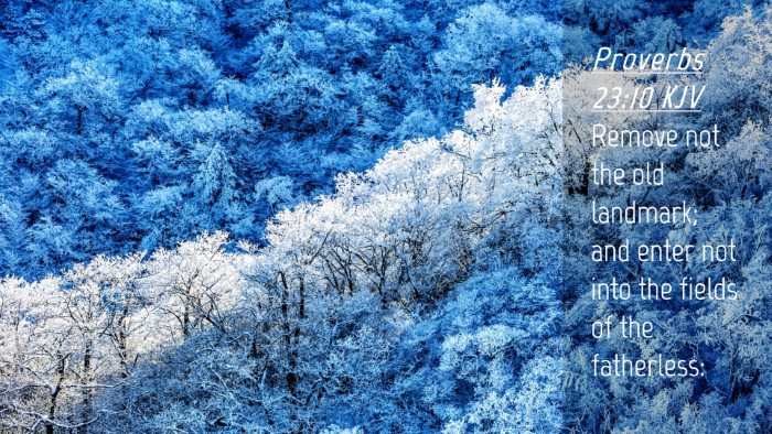 Picture 04 - Proverbs 23:10 KJV Desktop Wallpaper - Remove not the old landmark; and enter not into - Desktop Bible Verse Wallpaper