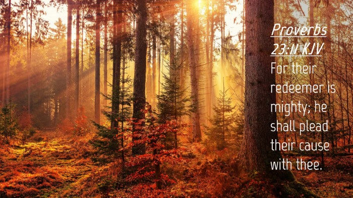 Picture 04 - Proverbs 23:11 KJV Desktop Wallpaper - For their redeemer is mighty; he shall plead - Desktop Bible Verse Wallpaper