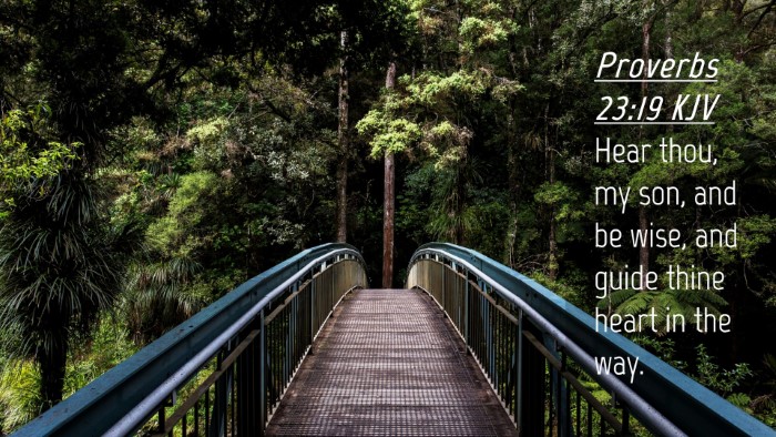 Picture 04 - Proverbs 23:19 KJV Desktop Wallpaper - Hear thou, my son, and be wise, and guide thine - Desktop Bible Verse Wallpaper