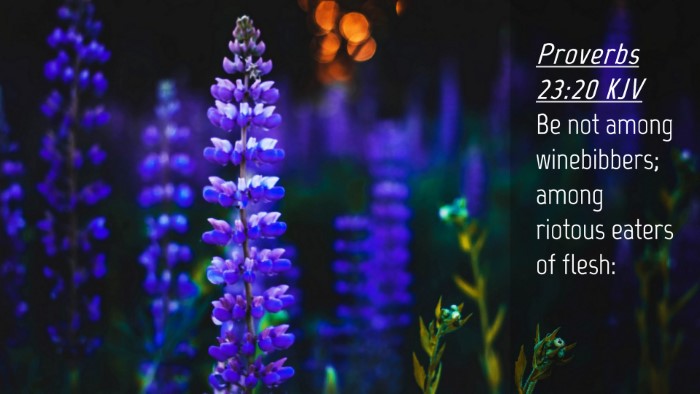 Picture 04 - Proverbs 23:20 KJV Desktop Wallpaper - Be not among winebibbers; among riotous eaters of - Desktop Bible Verse Wallpaper