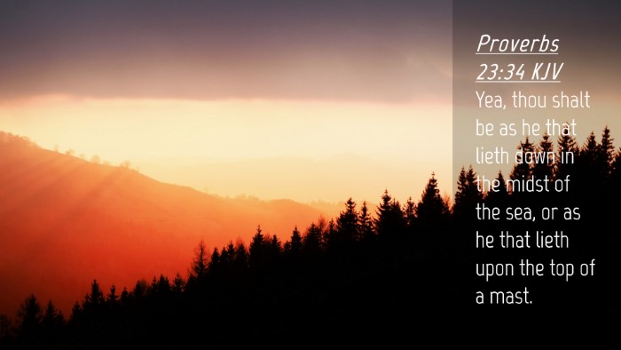 Picture 04 - Proverbs 23:34 KJV Desktop Wallpaper - Yea, thou shalt be as he that lieth down in the - Desktop Bible Verse Wallpaper
