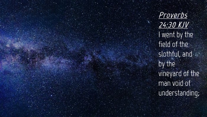 Picture 04 - Proverbs 24:30 KJV Desktop Wallpaper - I went by the field of the slothful, and by the - Desktop Bible Verse Wallpaper