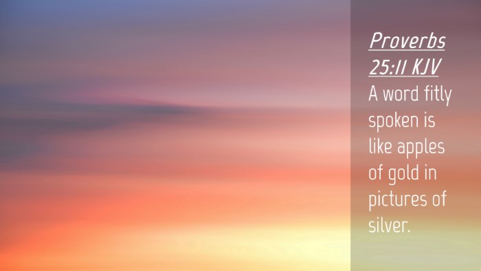 Picture 04 - Proverbs 25:11 KJV Desktop Wallpaper - A word fitly spoken is like apples of gold in - Desktop Bible Verse Wallpaper