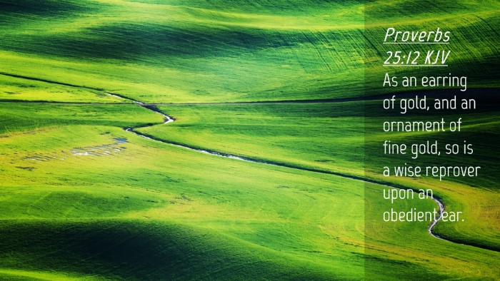 Picture 04 - Proverbs 25:12 KJV Desktop Wallpaper - As an earring of gold, and an ornament of fine - Desktop Bible Verse Wallpaper