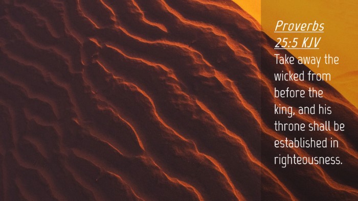 Picture 04 - Proverbs 25:5 KJV Desktop Wallpaper - Take away the wicked from before the king, and - Desktop Bible Verse Wallpaper