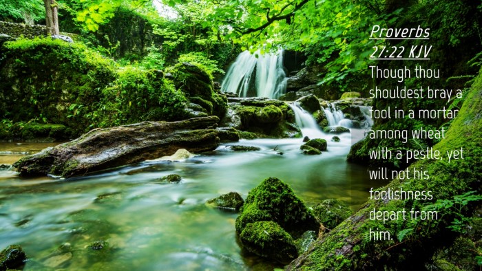 Picture 04 - Proverbs 27:22 KJV Desktop Wallpaper - Though thou shouldest bray a fool in a mortar - Desktop Bible Verse Wallpaper