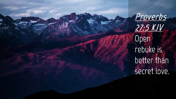Picture 04 - Proverbs 27:5 KJV Desktop Wallpaper - Open rebuke is better than secret - Desktop Bible Verse Wallpaper
