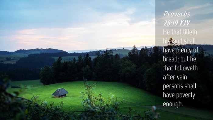 Picture 04 - Proverbs 28:19 KJV Desktop Wallpaper - He that tilleth his land shall have plenty of - Desktop Bible Verse Wallpaper