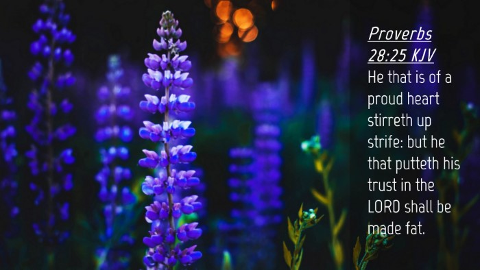 Picture 04 - Proverbs 28:25 KJV Desktop Wallpaper - He that is of a proud heart stirreth up strife: - Desktop Bible Verse Wallpaper
