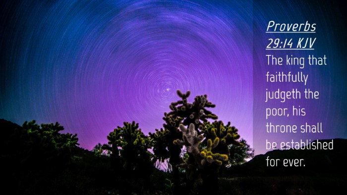 Picture 04 - Proverbs 29:14 KJV Desktop Wallpaper - The king that faithfully judgeth the poor, his - Desktop Bible Verse Wallpaper