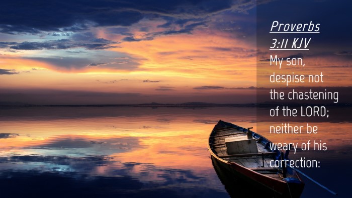 Picture 04 - Proverbs 3:11 KJV Desktop Wallpaper - My son, despise not the chastening of the LORD; - Desktop Bible Verse Wallpaper