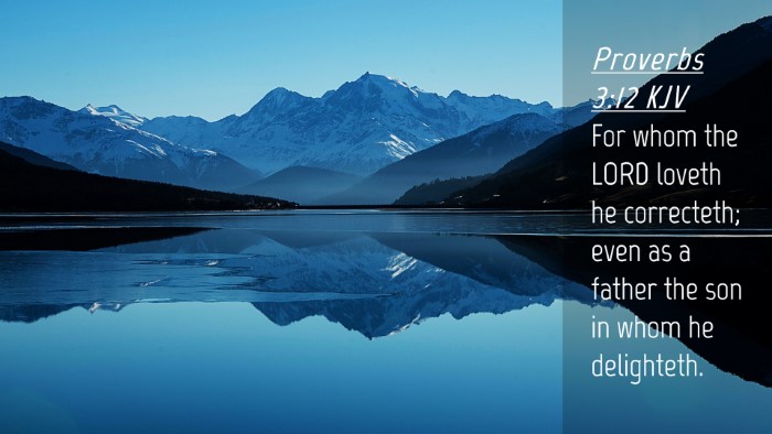 Picture 04 - Proverbs 3:12 KJV Desktop Wallpaper - For whom the LORD loveth he correcteth; even as a - Desktop Bible Verse Wallpaper