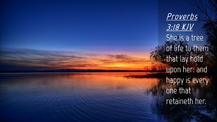 Picture 04 - Proverbs 3:18 KJV Desktop Wallpaper - She is a tree of life to them that lay hold upon - Desktop Bible Verse Wallpaper