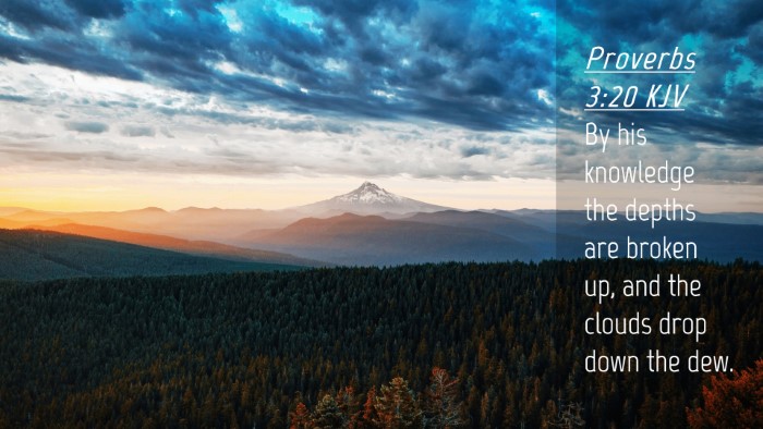 Picture 04 - Proverbs 3:20 KJV Desktop Wallpaper - By his knowledge the depths are broken up, and - Desktop Bible Verse Wallpaper