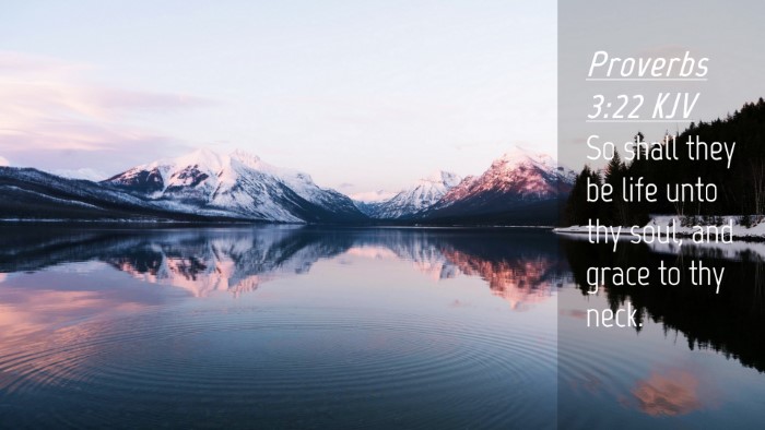 Picture 04 - Proverbs 3:22 KJV Desktop Wallpaper - So shall they be life unto thy soul, and grace to - Desktop Bible Verse Wallpaper