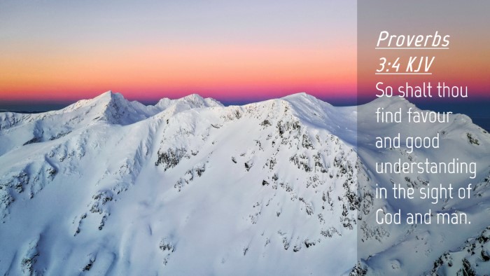 Picture 04 - Proverbs 3:4 KJV Desktop Wallpaper - So shalt thou find favour and good understanding - Desktop Bible Verse Wallpaper