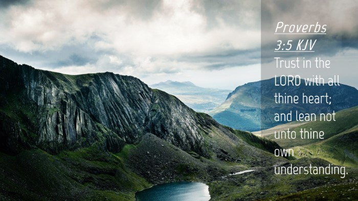 Picture 04 - Proverbs 3:5 KJV Desktop Wallpaper - Trust in the LORD with all thine heart; and lean - Desktop Bible Verse Wallpaper
