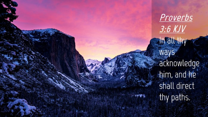 Picture 04 - Proverbs 3:6 KJV Desktop Wallpaper - In all thy ways acknowledge him, and he shall - Desktop Bible Verse Wallpaper