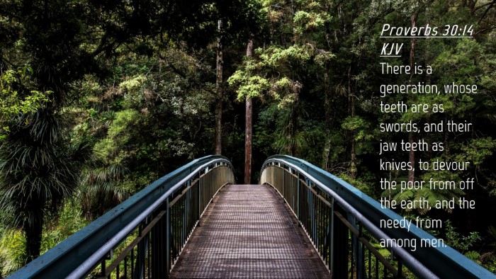 Picture 04 - Proverbs 30:14 KJV Desktop Wallpaper - There is a generation, whose teeth are as swords, - Desktop Bible Verse Wallpaper