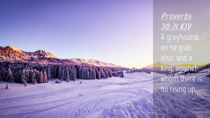 Picture 04 - Proverbs 30:31 KJV Desktop Wallpaper - A greyhound; an he goat also; and a king, against - Desktop Bible Verse Wallpaper