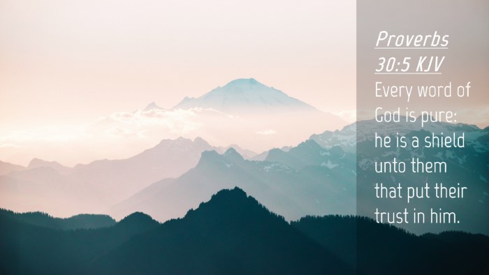 Picture 04 - Proverbs 30:5 KJV Desktop Wallpaper - Every word of God is pure: he is a shield unto - Desktop Bible Verse Wallpaper