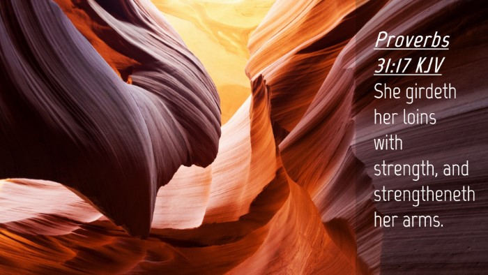 Picture 04 - Proverbs 31:17 KJV Desktop Wallpaper - She girdeth her loins with strength, and - Desktop Bible Verse Wallpaper