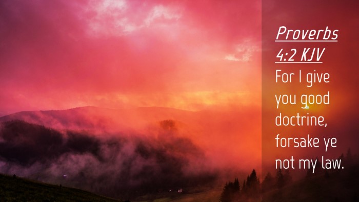 Picture 04 - Proverbs 4:2 KJV Desktop Wallpaper - For I give you good doctrine, forsake ye not my - Desktop Bible Verse Wallpaper