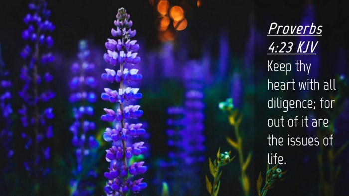 Picture 04 - Proverbs 4:23 KJV Desktop Wallpaper - Keep thy heart with all diligence; for out of it - Desktop Bible Verse Wallpaper