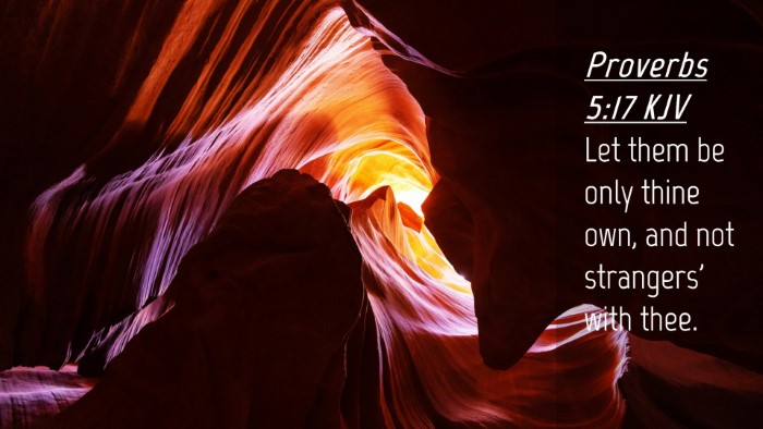Picture 04 - Proverbs 5:17 KJV Desktop Wallpaper - Let them be only thine own, and not strangers' - Desktop Bible Verse Wallpaper