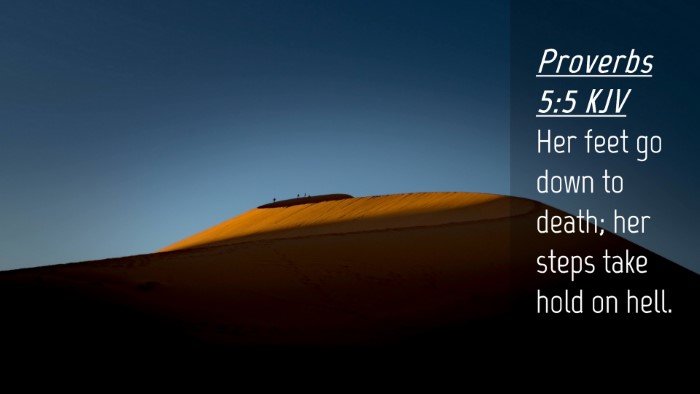 Picture 04 - Proverbs 5:5 KJV Desktop Wallpaper - Her feet go down to death; her steps take hold on - Desktop Bible Verse Wallpaper