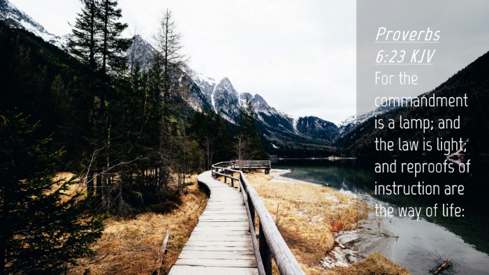 Picture 04 - Proverbs 6:23 KJV Desktop Wallpaper - For the commandment is a lamp; and the law is - Desktop Bible Verse Wallpaper